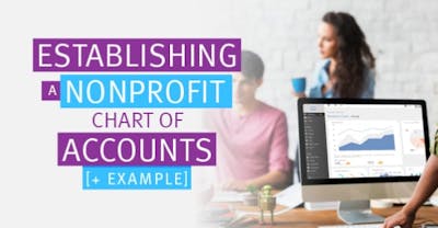Check out this article on establishing a nonprofit chart of accounts plus and example to help get you started.