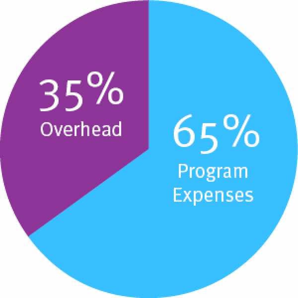 the Better Business Bureau recommends that nonprofits budget no more than 35% of their funding to overhead expenses and spend at least 65% on their programs.