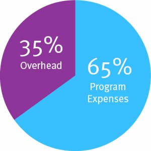 Pie chart showing 35% of funds for overhead and 65% for program expenses