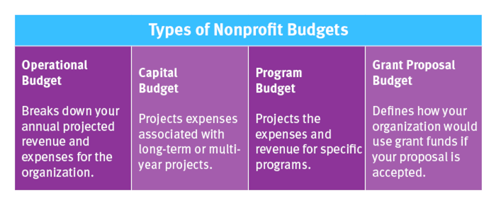 Types of nonprofit budgets