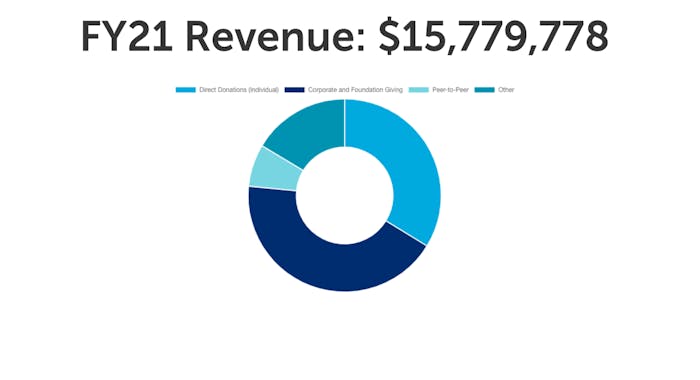 Nonprofit annual report chart example.