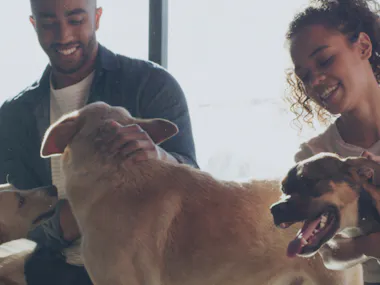 Man and woman with dogs.