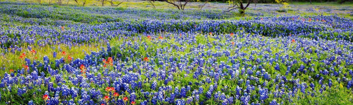 Grand Prairie, Texas cityscape