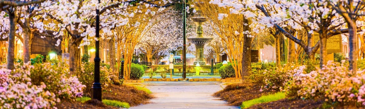 Macon, Georgia cityscape