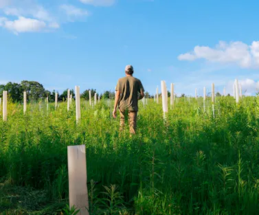 The Farmers Land Trust farmland.