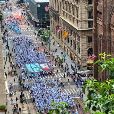 Pro Israel parade in New York City