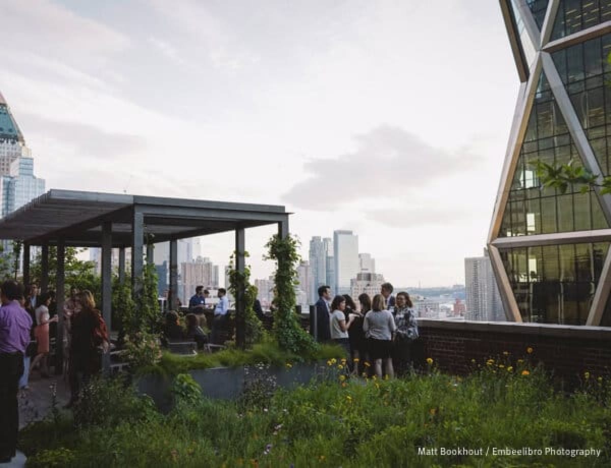 People in a city rooftop garden representing Jitasa’s nonprofit bookkeeping and accounting services for Urban Green Council.