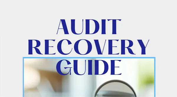 Free Audit Recovery Guide screenshot